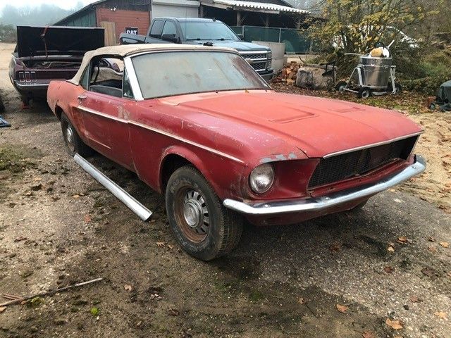 Mustang Cabrio V8